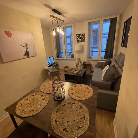 Apartment Le Paillot Hyper Centre Classe Troyes