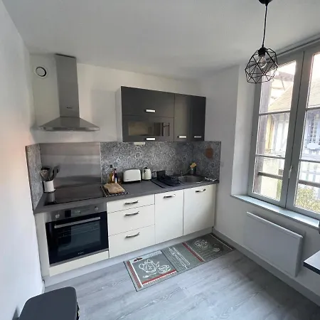 Apartment Le Paillot Hyper Centre Classe Troyes